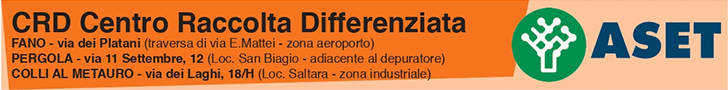 aset servizi