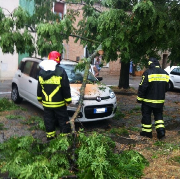Un albero caduto sopra ad un'auto nella zona Porto di Fano