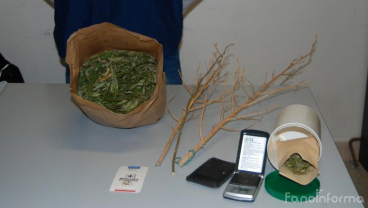 I 280 grammi di marijuana sequestrati dagli agenti della polizia di Urbino