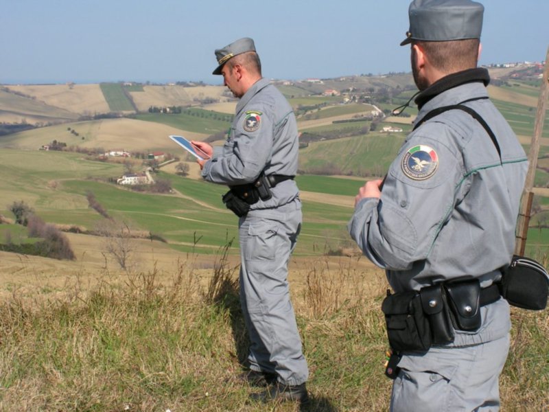 Guardia Forestale