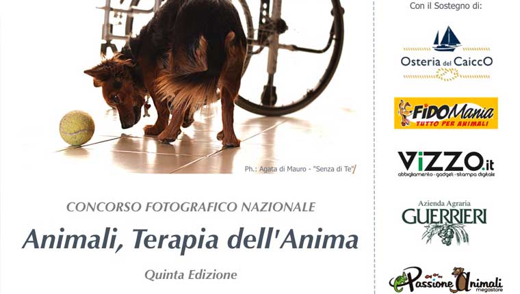 “Animali, terapia dell’anima”, aperto il foto-concorso a Fano