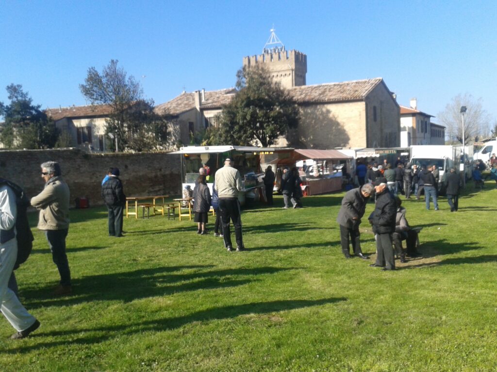 La pineta che affianca il santuario di Madonna Ponte a Fano