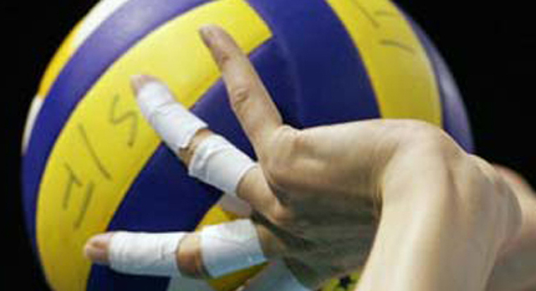 Pallavolo