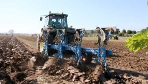 Le prove in campo durante la Festa della Mietitura della cooperativa Falcineto di Fano