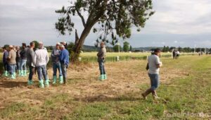 Il "Cereal Tour" promosso durante la Festa della Mietitura della cooperativa Falcineto di Fano