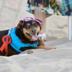 Patty, concorrente della Doggy Fashion Night, evento che si è svolto a Fano il 19 luglio