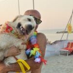 Thiago e Graziano, vincitori della prima "Doggy Fashion Night"