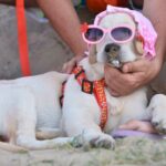 Gemma, concorrente della Doggy Fashion Night