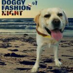 Itan parteciperà alla Doggy Fashion Night, la sfilata "in costume" di cani e padroni di Fano.