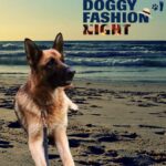 Taira parteciperà alla Doggy Fashion Night, la sfilata "in costume" di cani e padroni di Fano.