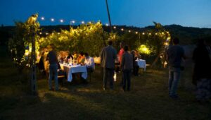 La cena in vigna proposta da Terracruda, azienda vitivinicola di Fratte Rosa