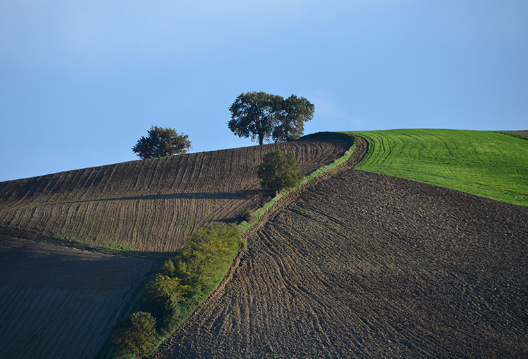 terreno agricolo