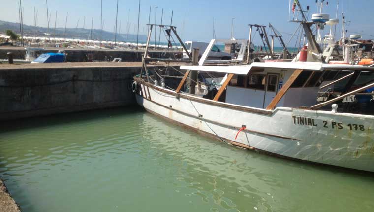 lo spazio vuoto lasciato dalla vongolara "Altair" affondata questa notte nel porto di Fano