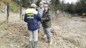 Forestali al lavoro