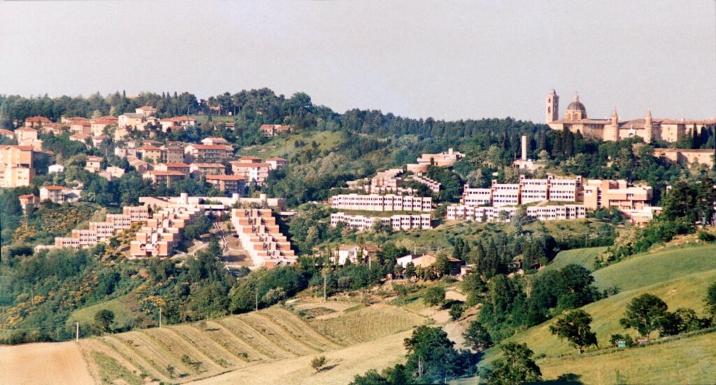 urbino