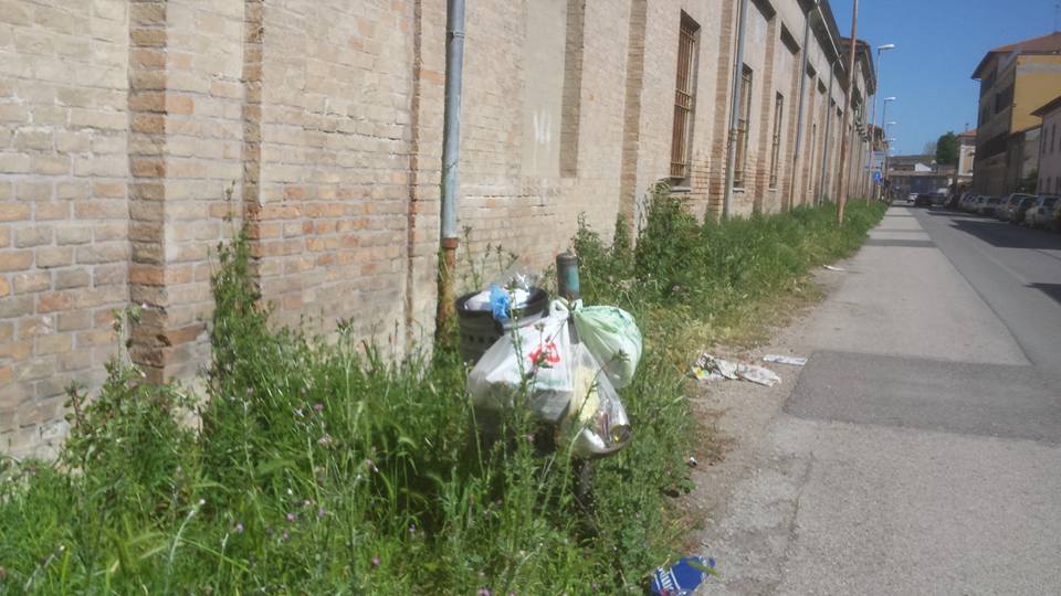 verde pubblico in via Palazzi