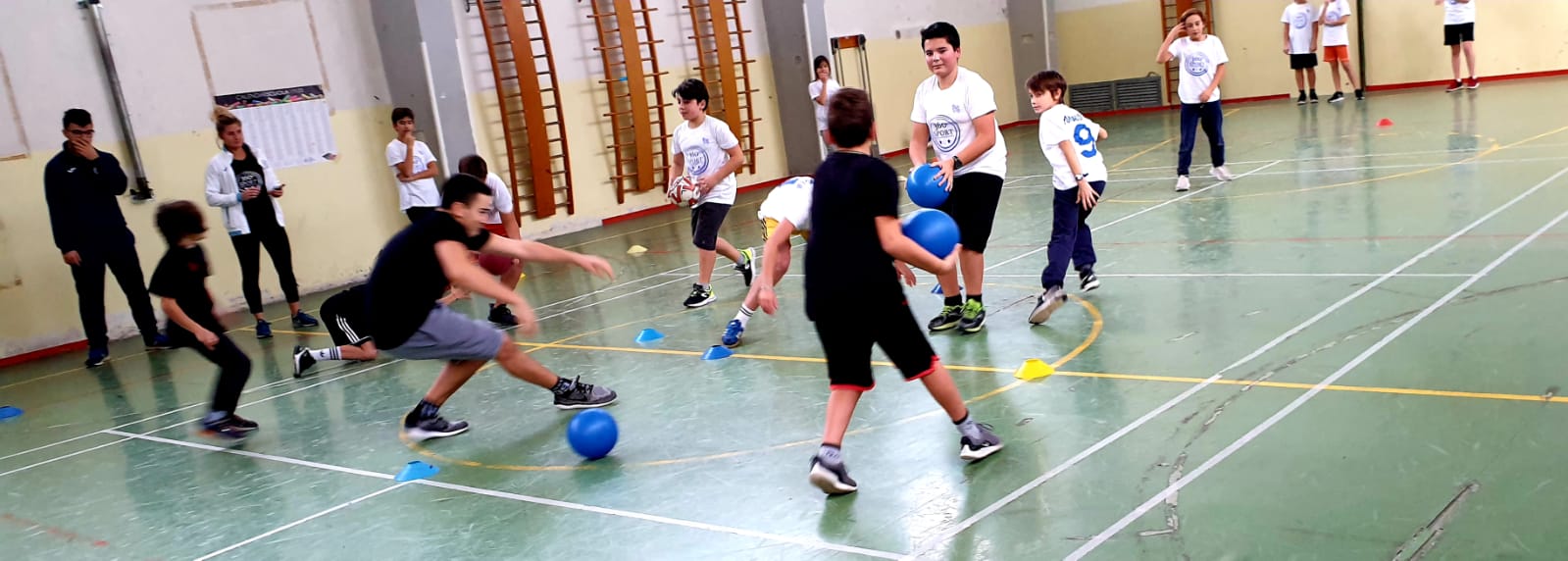 A Fano torna il Dodgeball, versione moderna della Palla Avvelenata Fanoinforma