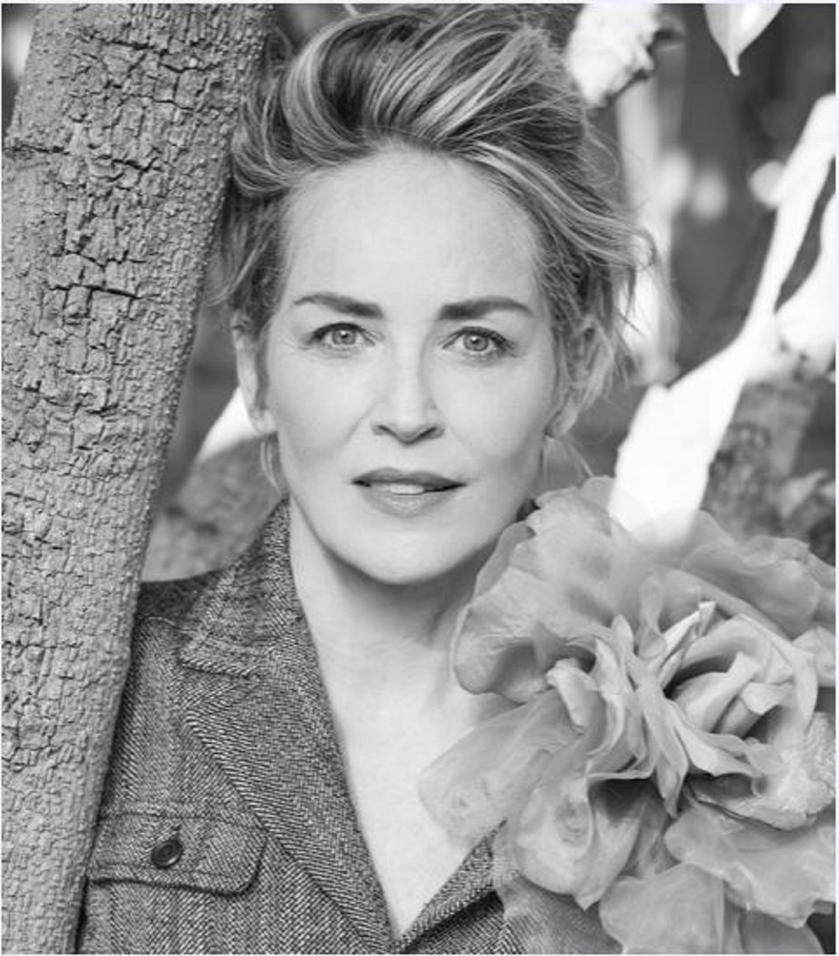 Sharon Stone si racconta a Passaggi Festival - Fanoinforma